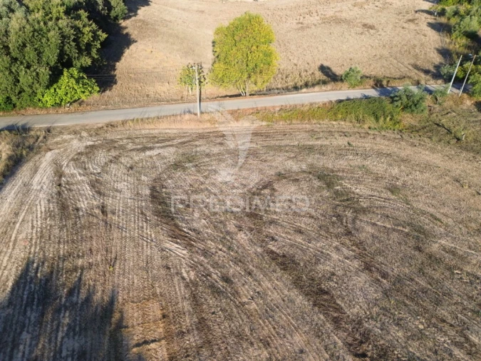 Terreno para Venda em Achete, Azoia de Baixo e Póvoa de Santarém Foto 2