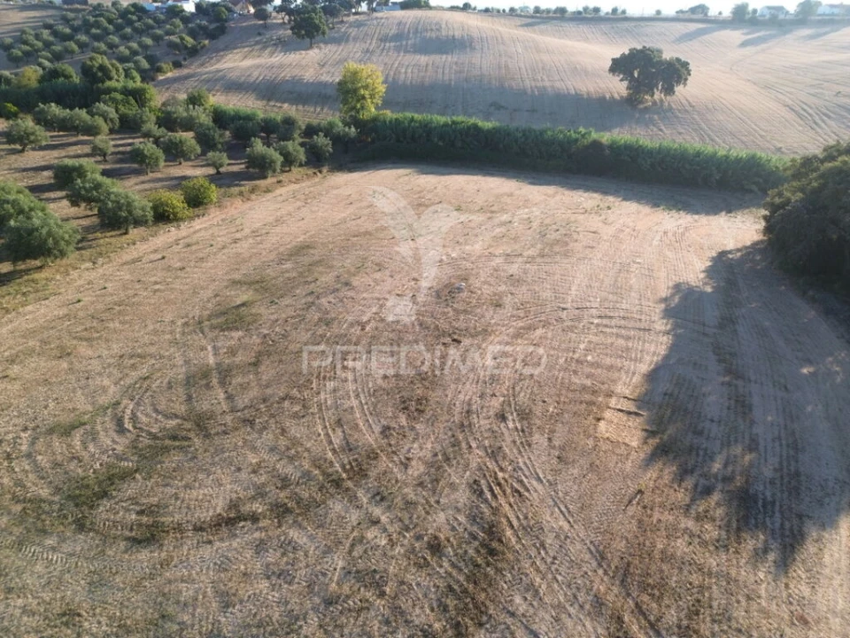 Terreno para Venda em Achete, Azoia de Baixo e Póvoa de Santarém Foto 1