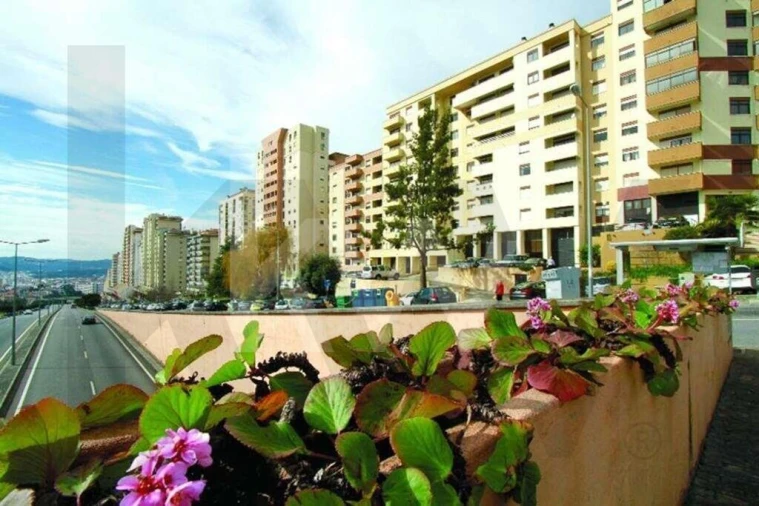 Loja para Venda em Santo Antonio dos Olivais Foto 4