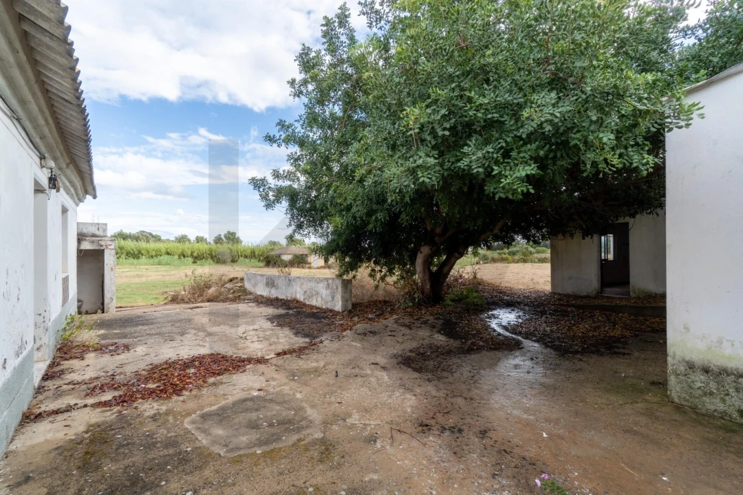 Terreno para Venda em Luz de Tavira e Santo Estêvão Foto 15