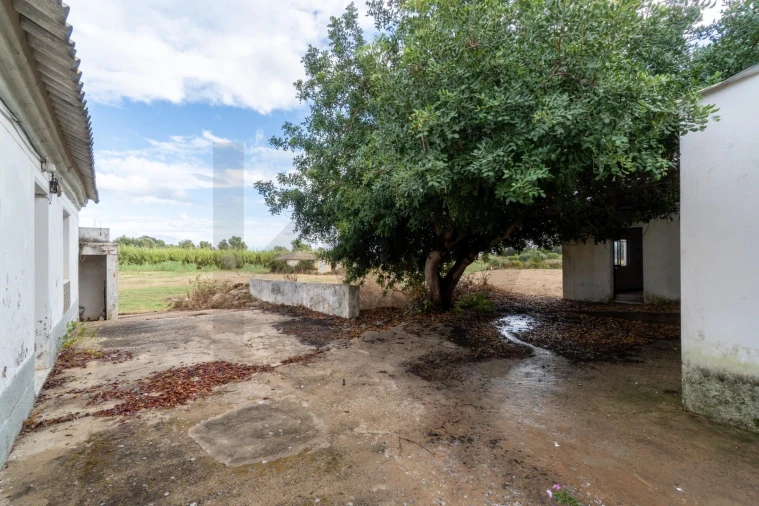 Terreno para Venda em Luz de Tavira e Santo Estêvão Foto 15