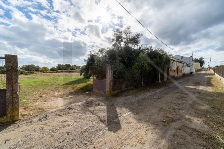 Terreno para Venda em Luz de Tavira e Santo Estêvão Foto 11
