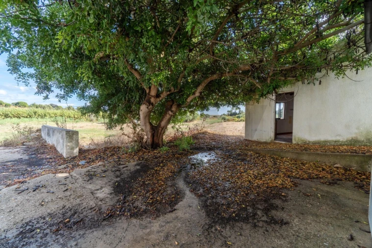 Terreno para Venda em Luz de Tavira e Santo Estêvão Foto 22