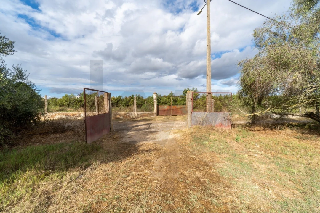 Terreno para Venda em Luz de Tavira e Santo Estêvão Foto 10