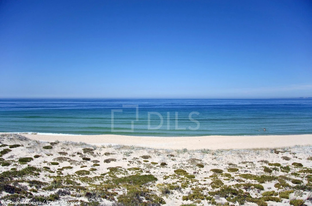 Moradia T4 para Venda em Comporta Foto 23