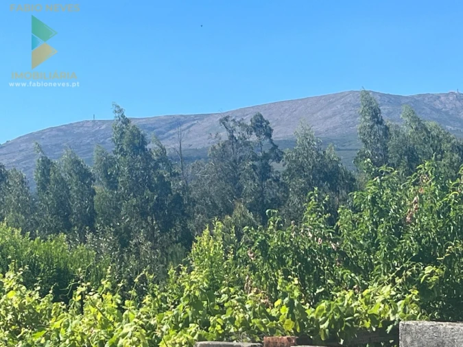 Moradia T2 para Venda em Fontão Foto 14