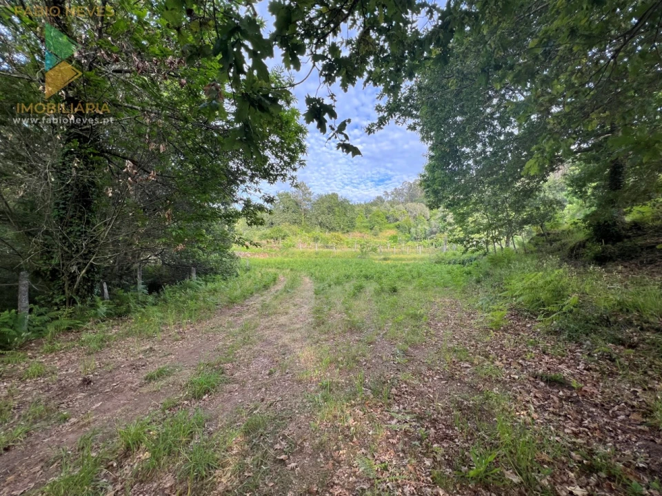 Terreno para Venda em Azere Foto 7
