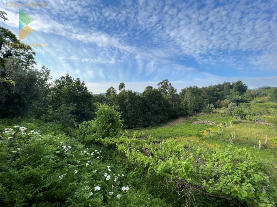 Terreno para Venda em Azere Foto 8