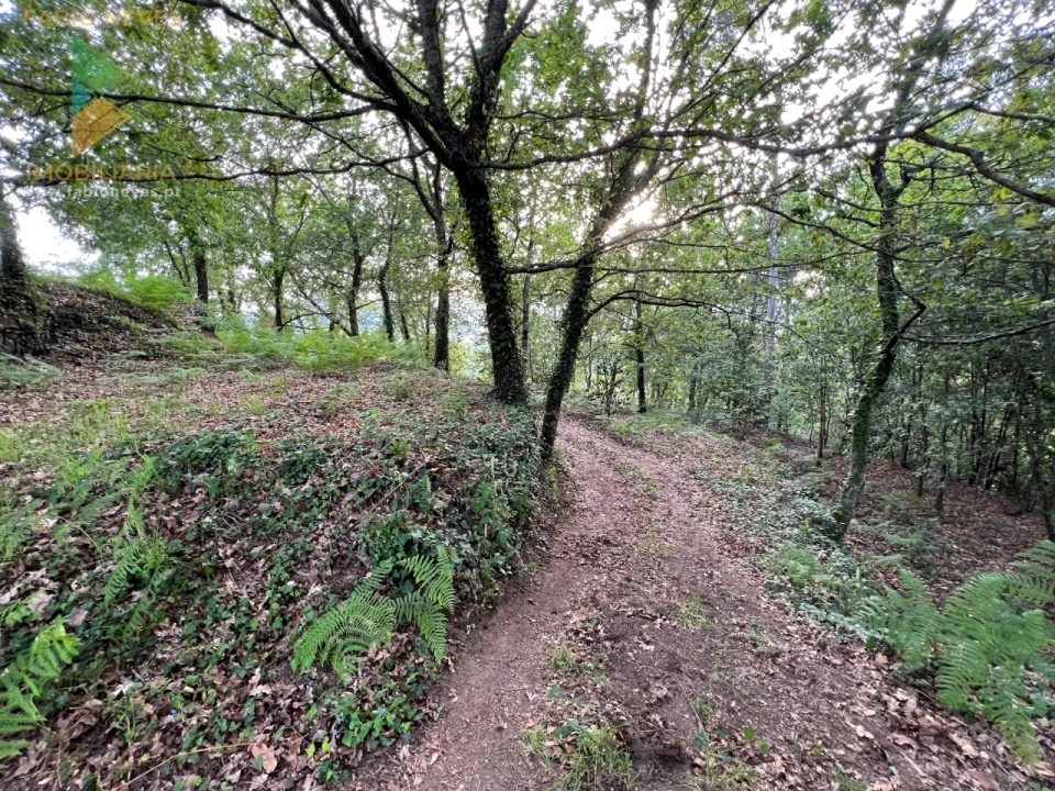 Terreno para Venda em Azere Foto 9