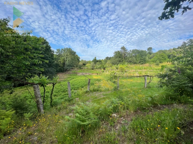Terreno para Venda em Azere Foto 6