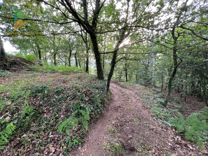 Terreno para Venda em Azere Foto 9