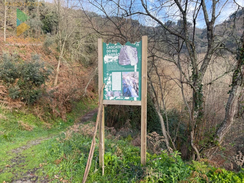 Terreno para Venda em Jolda (Madalena) e Rio Cabrão Foto 7