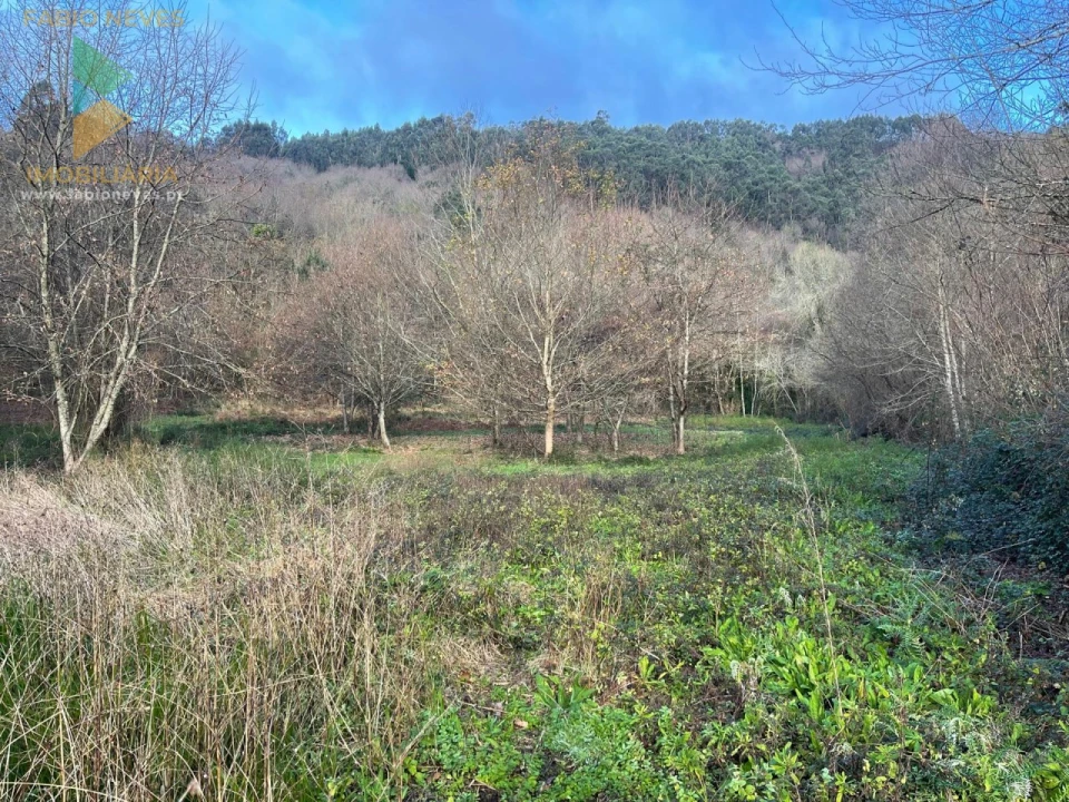 Terreno para Venda em Jolda (Madalena) e Rio Cabrão Foto 8