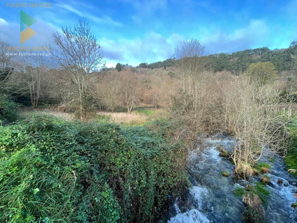 Terreno para Venda em Jolda (Madalena) e Rio Cabrão Foto 11