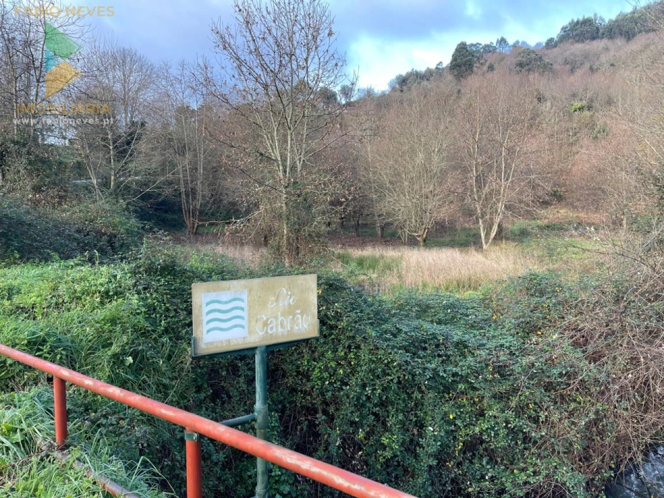 Terreno para Venda em Jolda (Madalena) e Rio Cabrão Foto 14