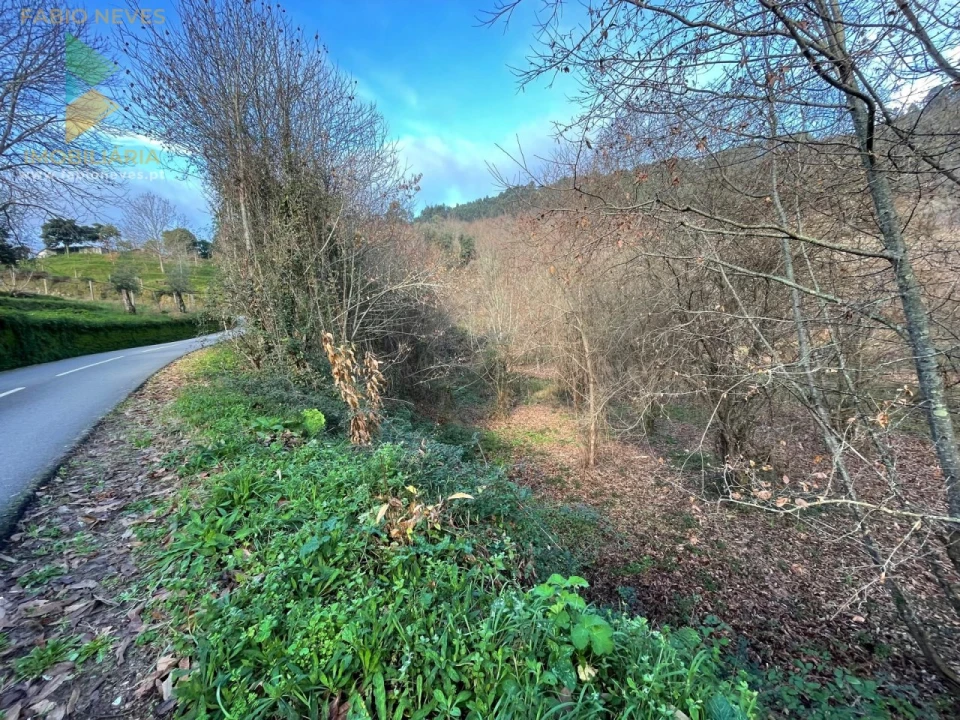 Terreno para Venda em Jolda (Madalena) e Rio Cabrão Foto 18