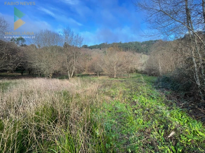 Terreno para Venda em Jolda (Madalena) e Rio Cabrão Foto 3