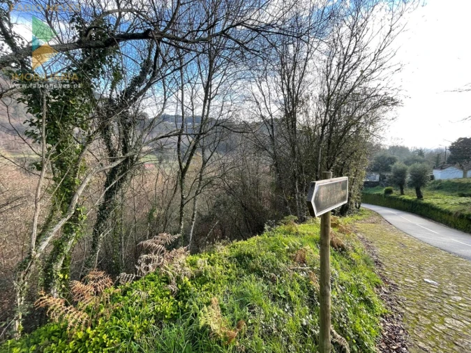 Terreno para Venda em Jolda (Madalena) e Rio Cabrão Foto 5