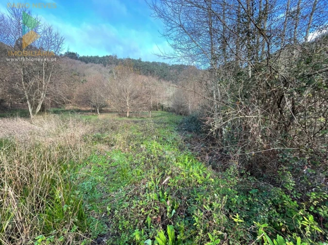 Terreno para Venda em Jolda (Madalena) e Rio Cabrão Foto 9