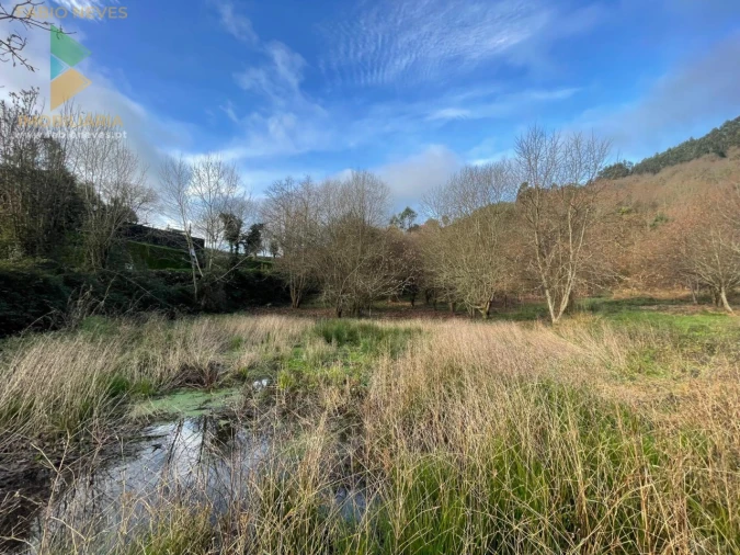 Terreno para Venda em Jolda (Madalena) e Rio Cabrão Foto 10