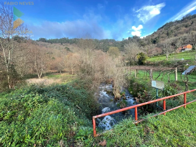 Terreno para Venda em Jolda (Madalena) e Rio Cabrão Foto 17