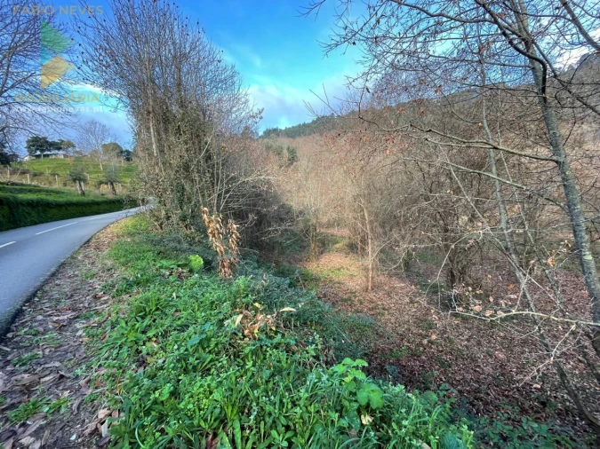 Terreno para Venda em Jolda (Madalena) e Rio Cabrão Foto 18