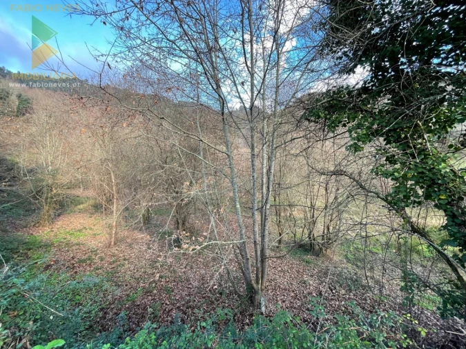 Terreno para Venda em Jolda (Madalena) e Rio Cabrão Foto 20