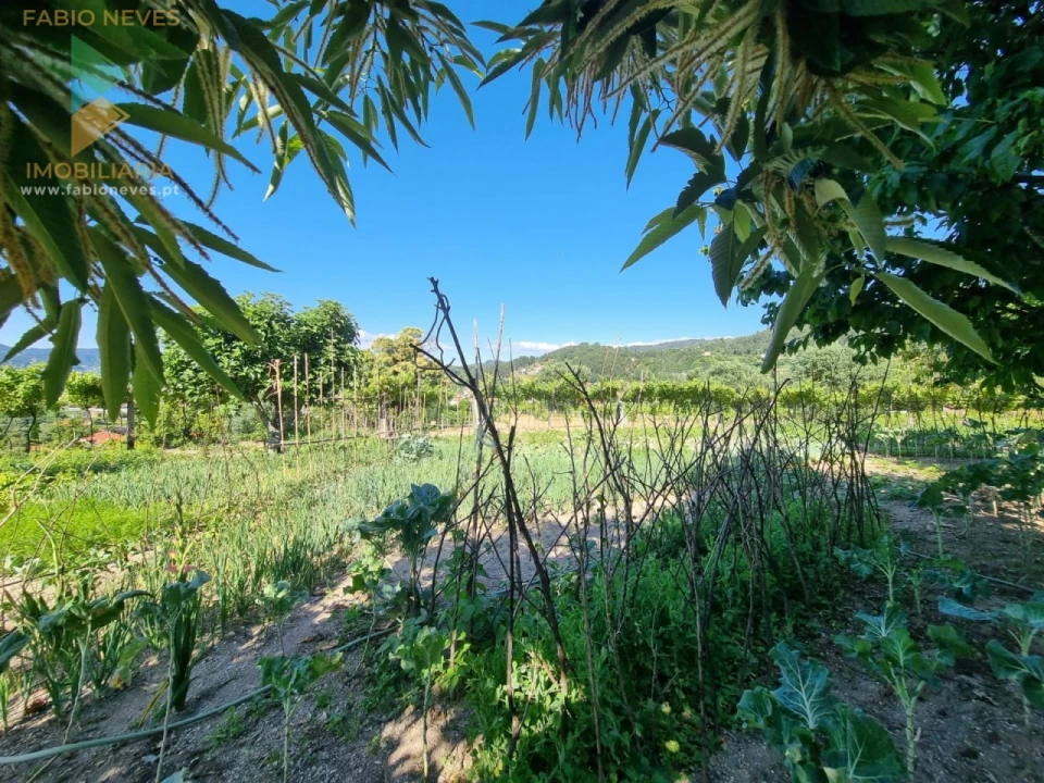 Moradia T4 para Venda em Gondufe Foto 51