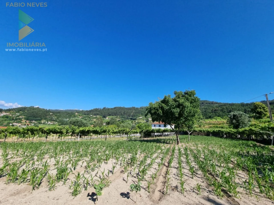 Moradia T4 para Venda em Gondufe Foto 48