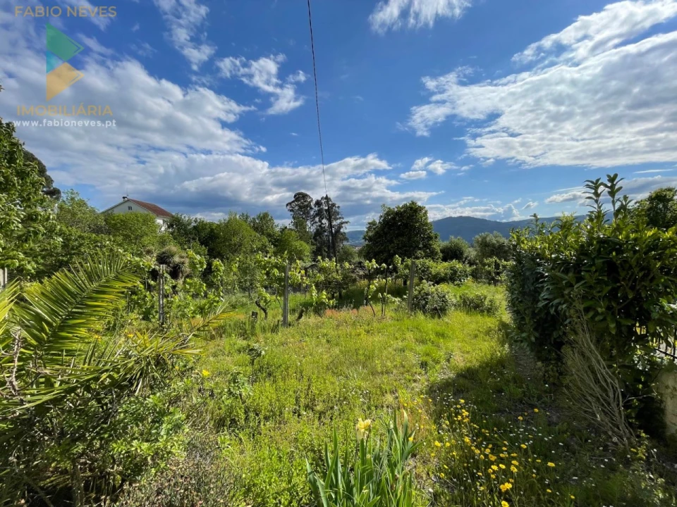 Moradia T3 para Venda em Couto Foto 30