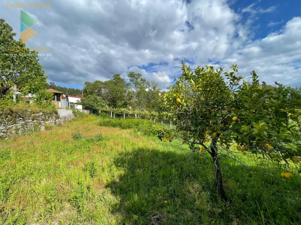 Moradia T3 para Venda em Couto Foto 39