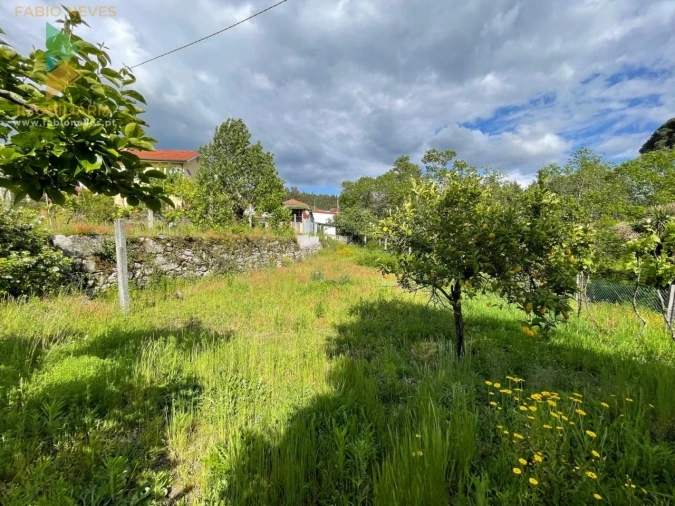 Moradia T3 para Venda em Couto Foto 36