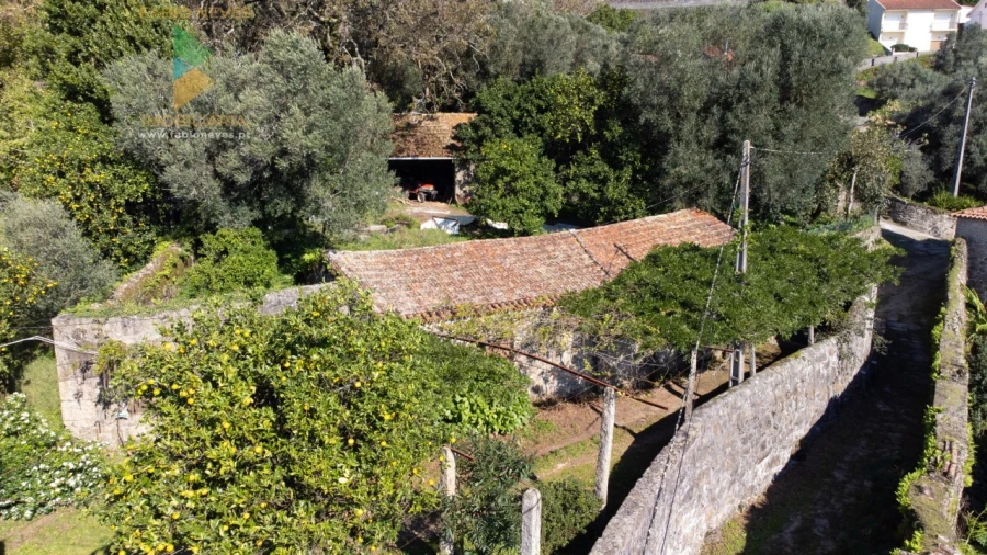 Quinta T6 para Venda em Subportela, Deocriste e Portela Susã Foto 8