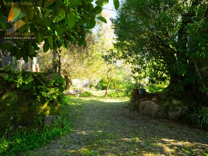 Quinta T6 para Venda em Subportela, Deocriste e Portela Susã Foto 23