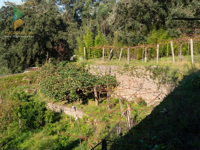 Quinta T6 para Venda em Subportela, Deocriste e Portela Susã Foto 26