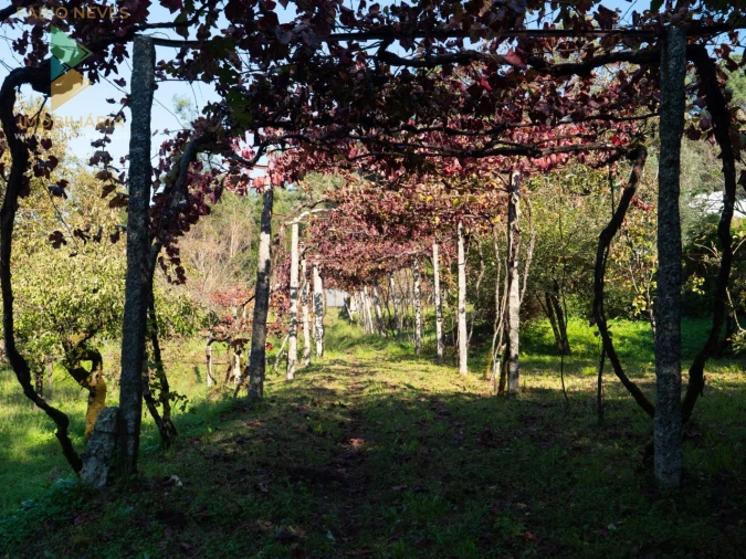 Quinta T6 para Venda em Subportela, Deocriste e Portela Susã Foto 38