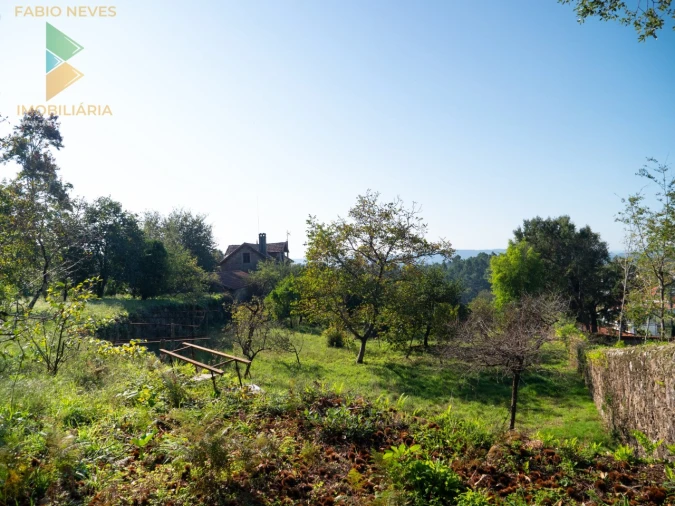 Quinta T6 para Venda em Subportela, Deocriste e Portela Susã Foto 42