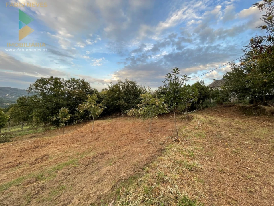 Terreno para Venda em Crasto, Ruivos e Grovelas Foto 1
