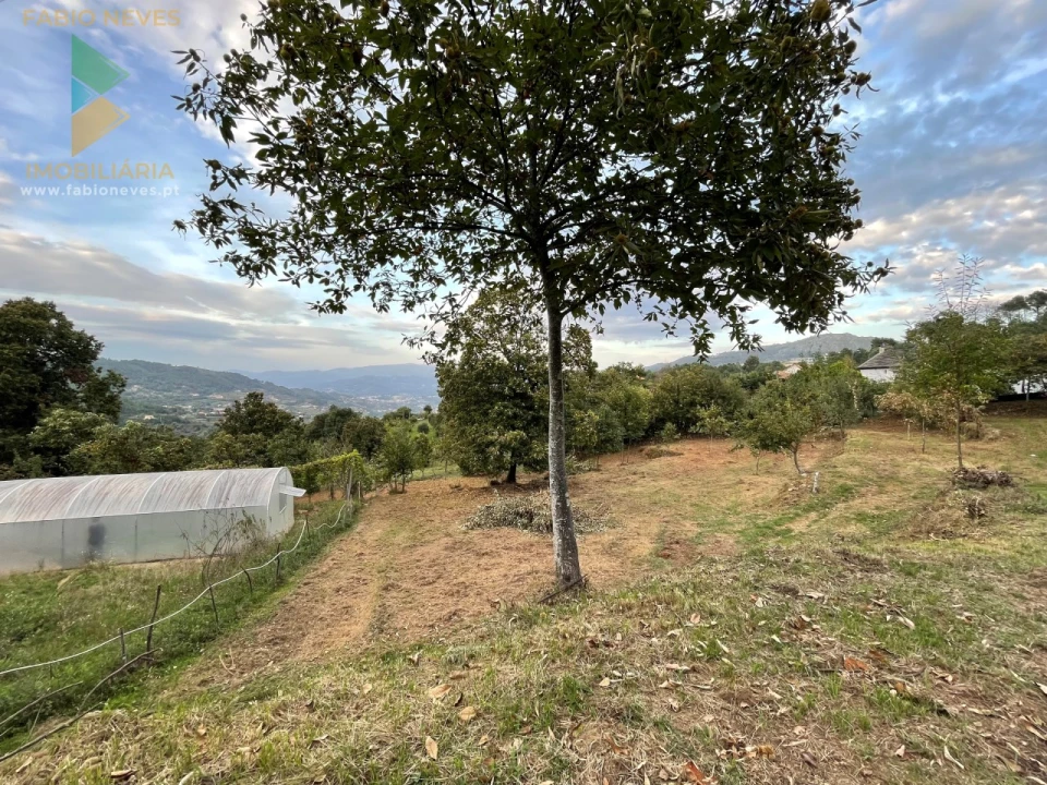 Terreno para Venda em Crasto, Ruivos e Grovelas Foto 4