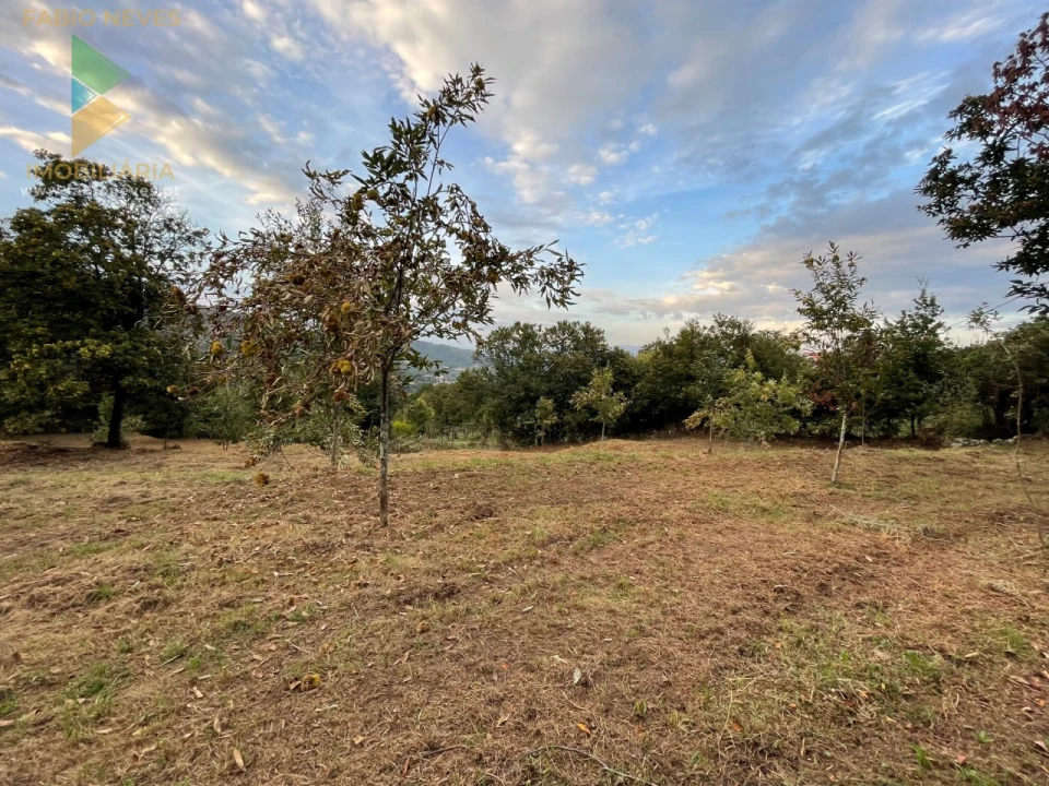 Terreno para Venda em Crasto, Ruivos e Grovelas Foto 3