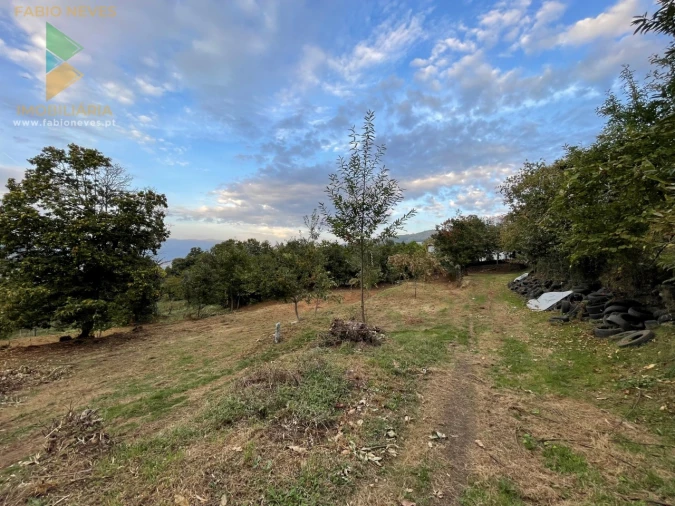 Terreno para Venda em Crasto, Ruivos e Grovelas Foto 2