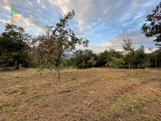 Terreno para Venda em Crasto, Ruivos e Grovelas Foto 3