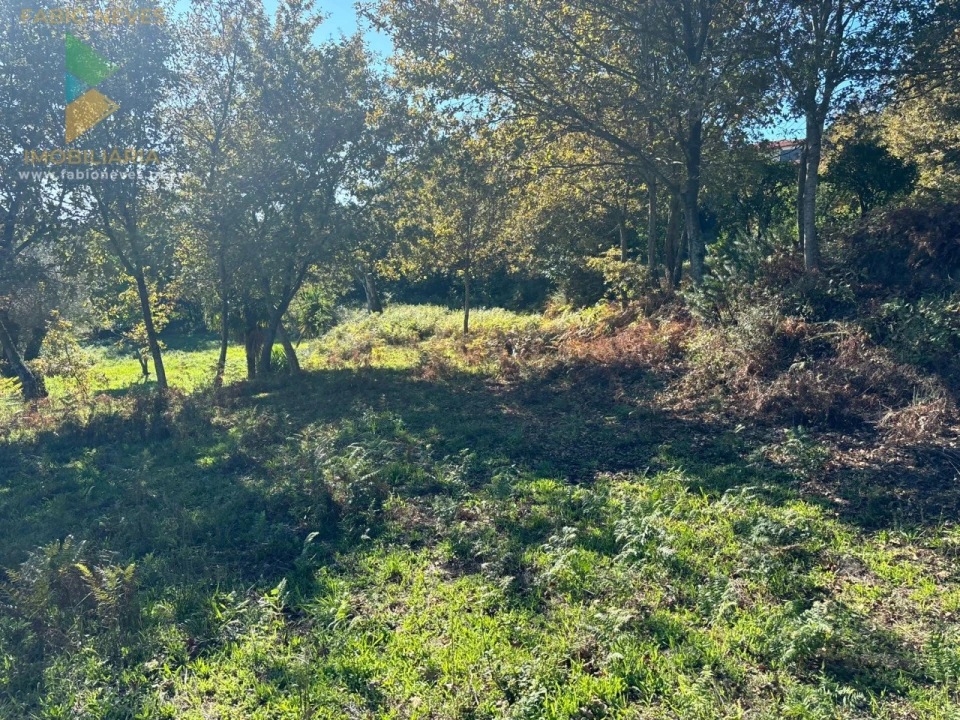 Terreno para Venda em Vila Verde e Barbudo Foto 4