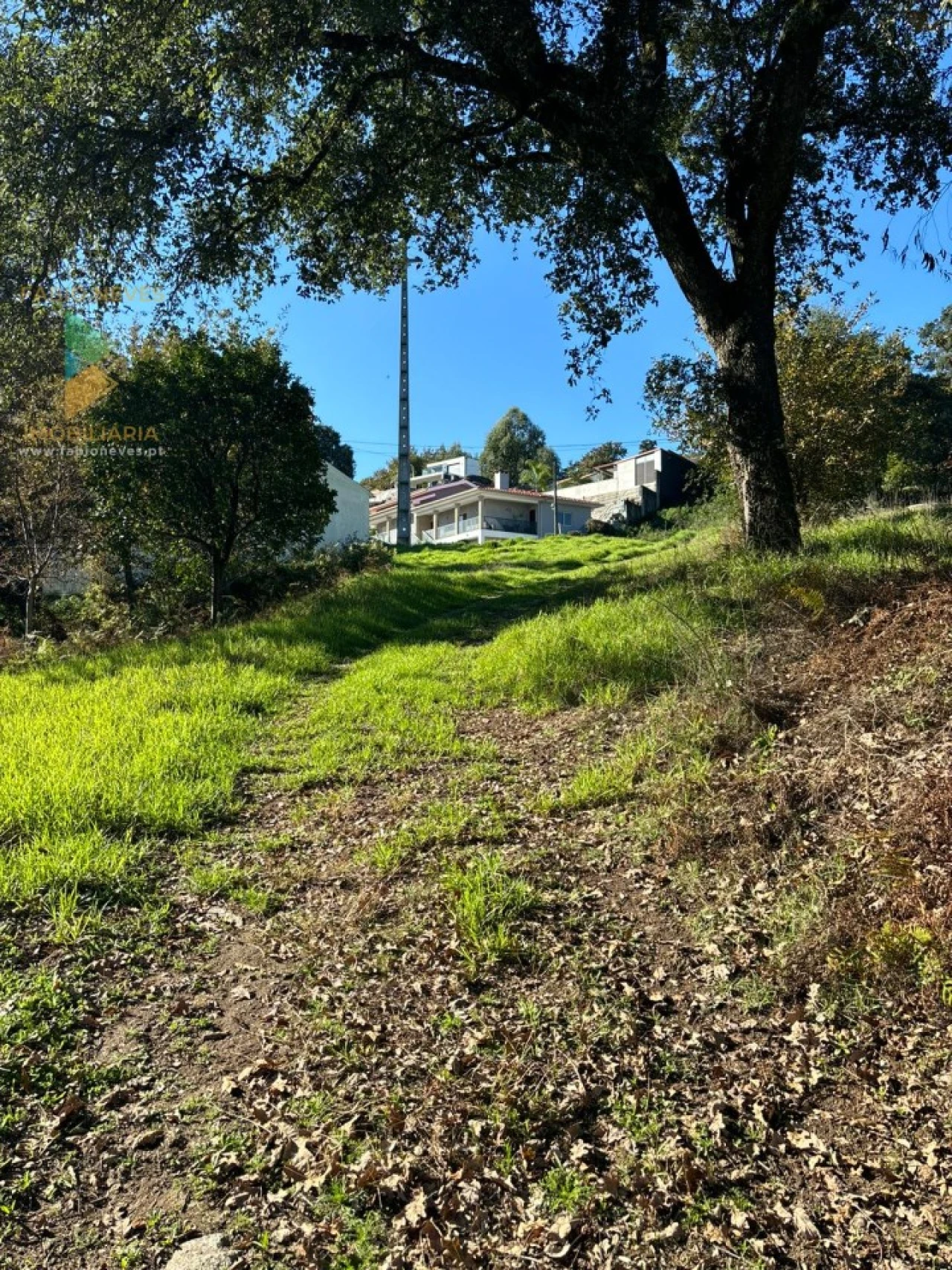 Terreno para Venda em Vila Verde e Barbudo Foto 5