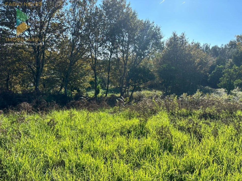 Terreno para Venda em Vila Verde e Barbudo Foto 7