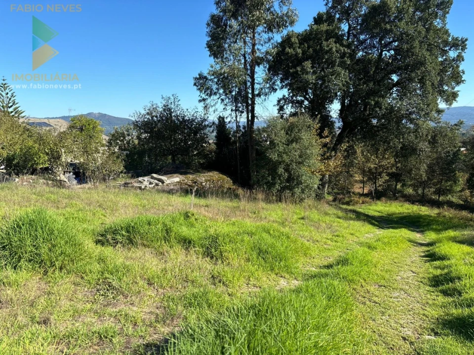 Terreno para Venda em Vila Verde e Barbudo Foto 8
