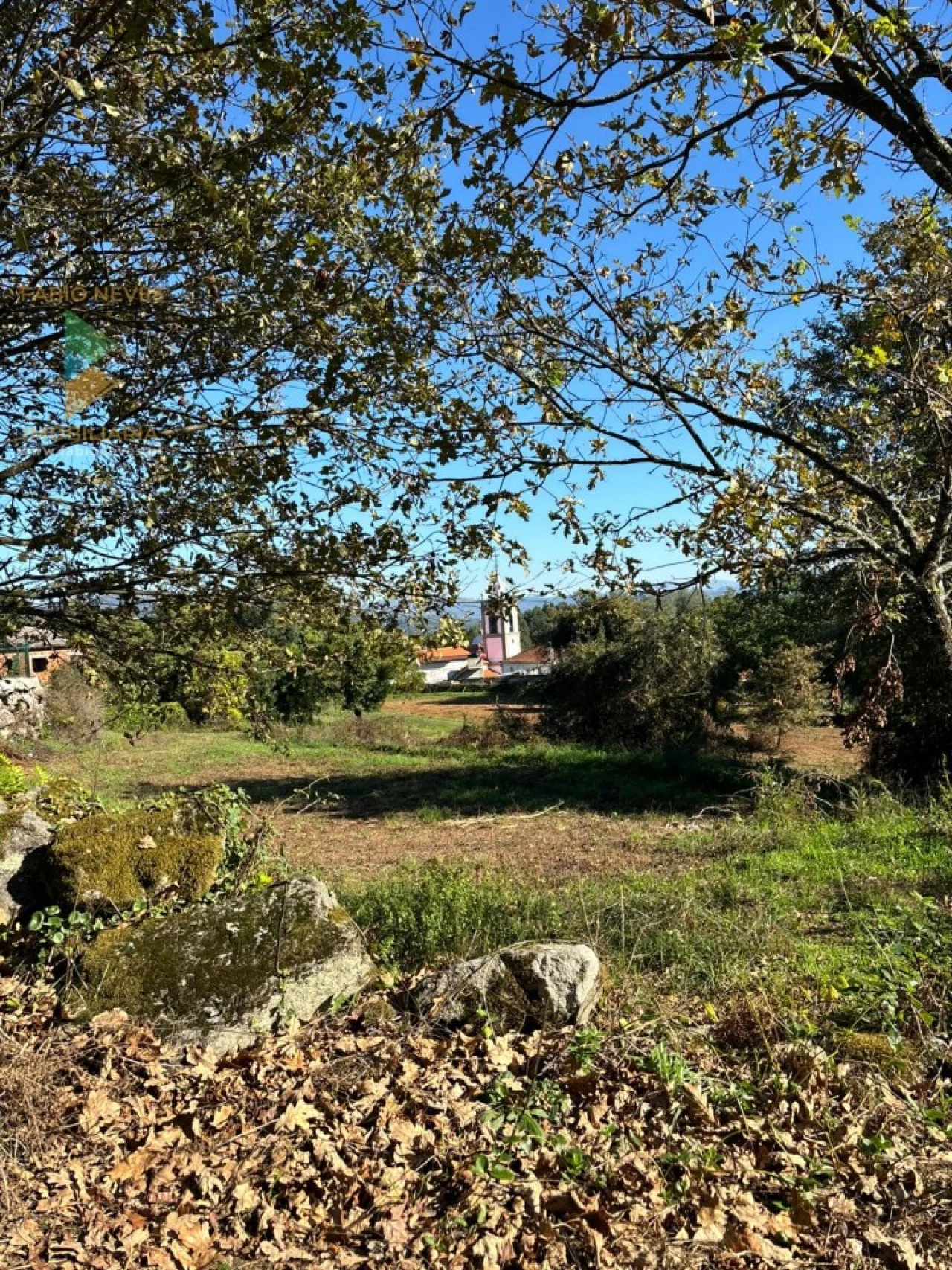 Terreno para Venda em Vila Verde e Barbudo Foto 9