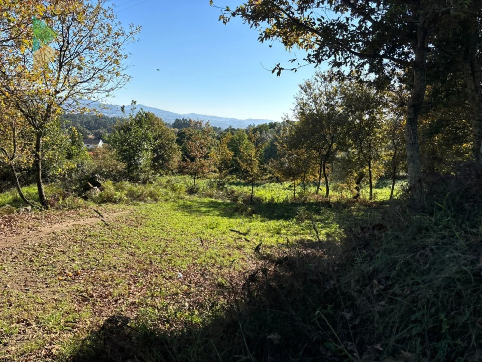 Terreno para Venda em Vila Verde e Barbudo Foto 11
