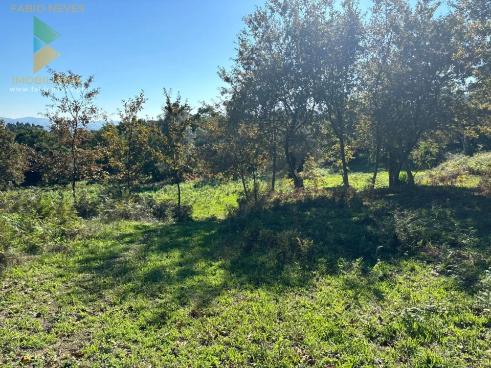 Terreno para Venda em Vila Verde e Barbudo Foto 17
