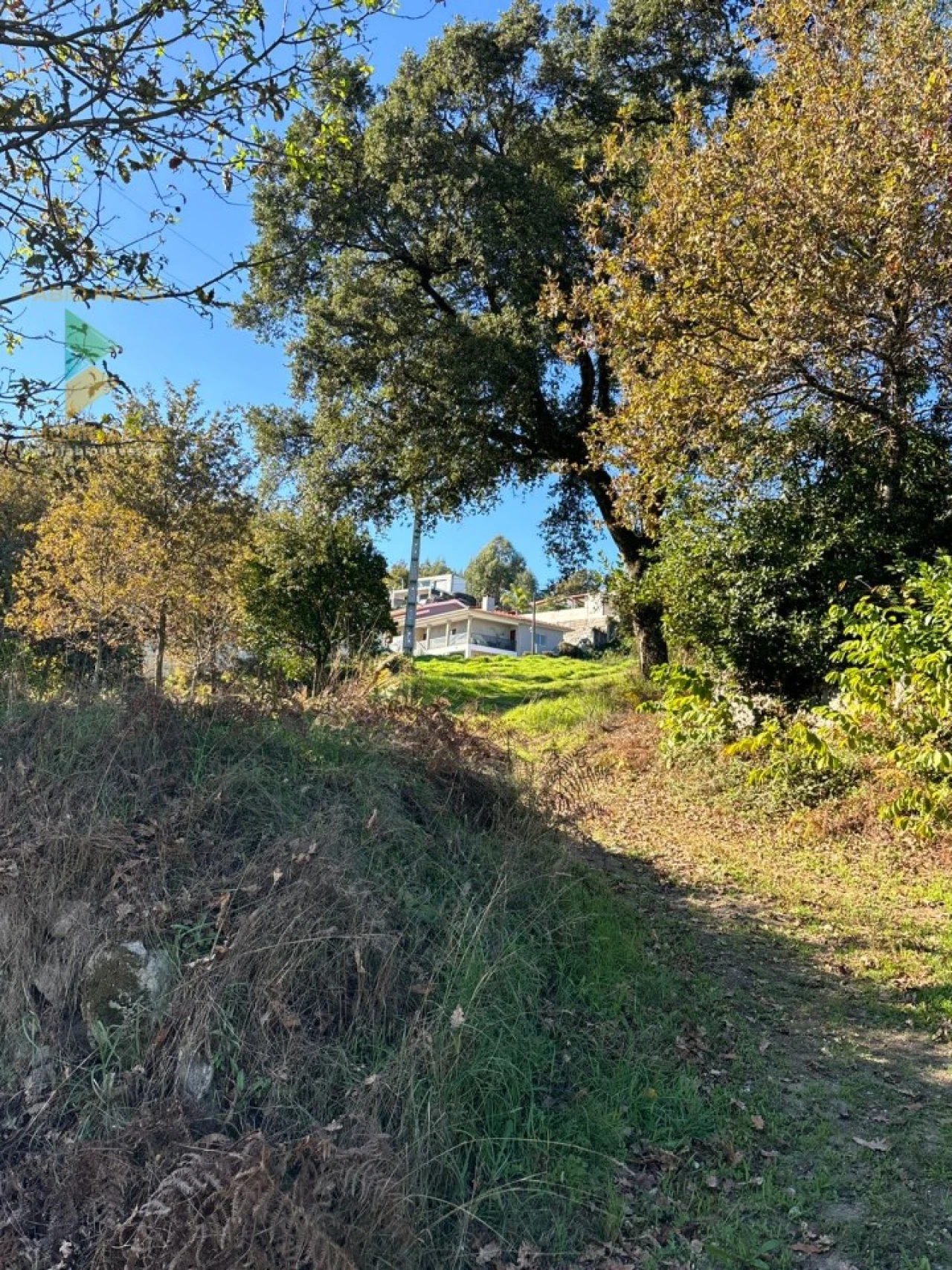 Terreno para Venda em Vila Verde e Barbudo Foto 21